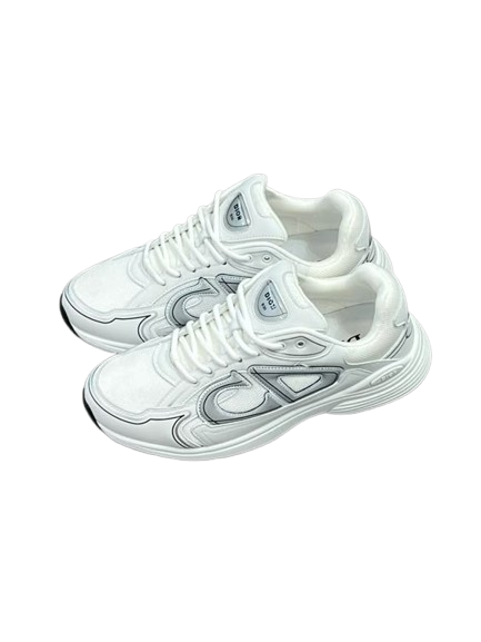 Dior B30